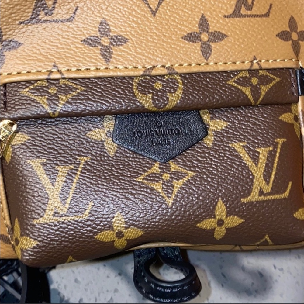 Louis Vuitton Palm Springs Mini Backpack - Picture 6 of 12
